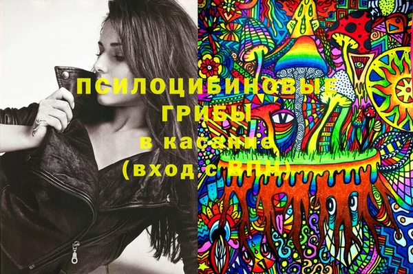 mix Вяземский